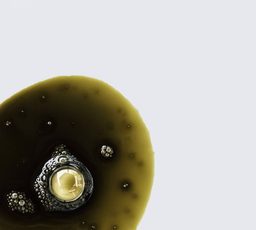 CBD Langanhaltend – Kategoriebild