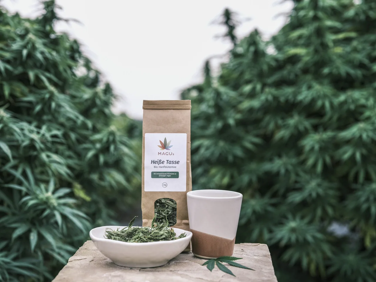 Bio Hanftee Rezept