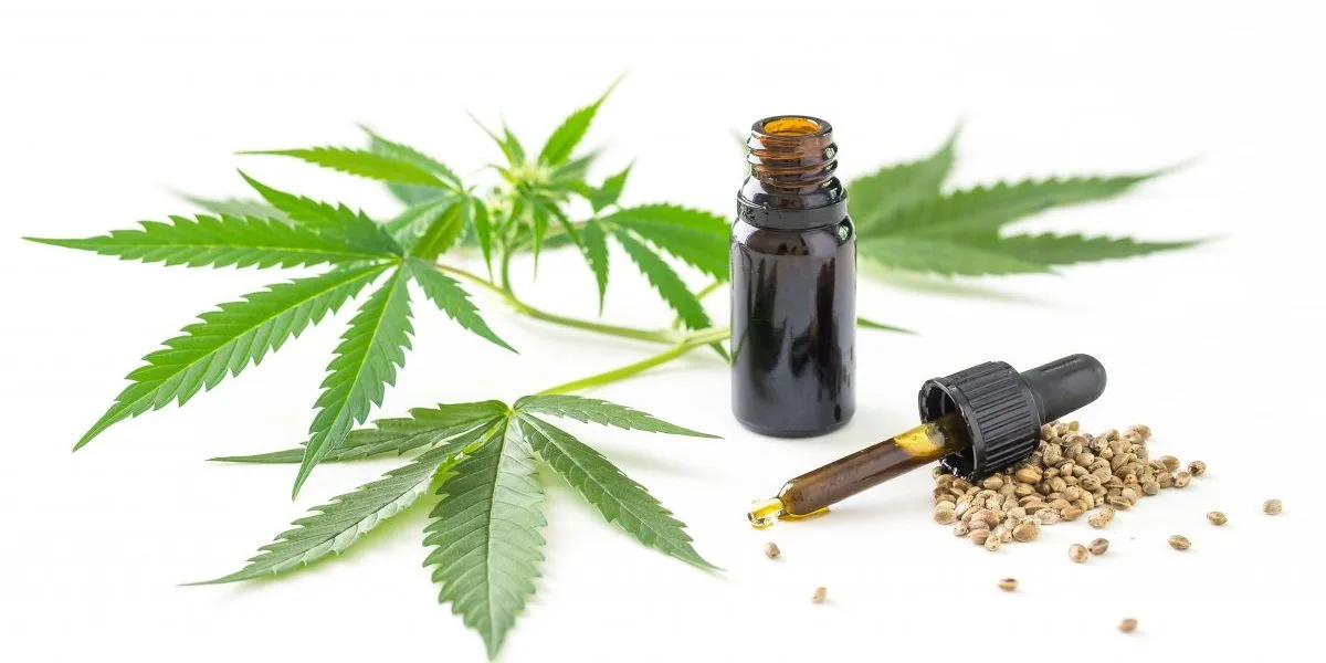 CBD-Öl und Hanfpflanzen
