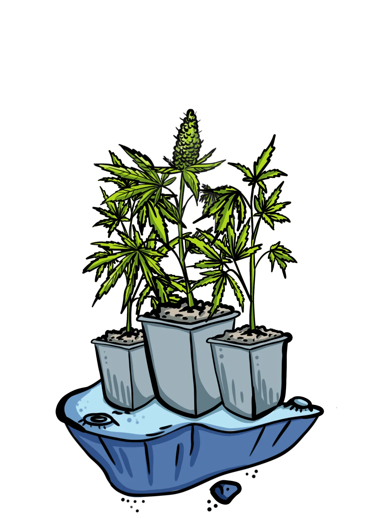 Outdoor Grow Set kaufen Österreich - Magu Shop Qualität
