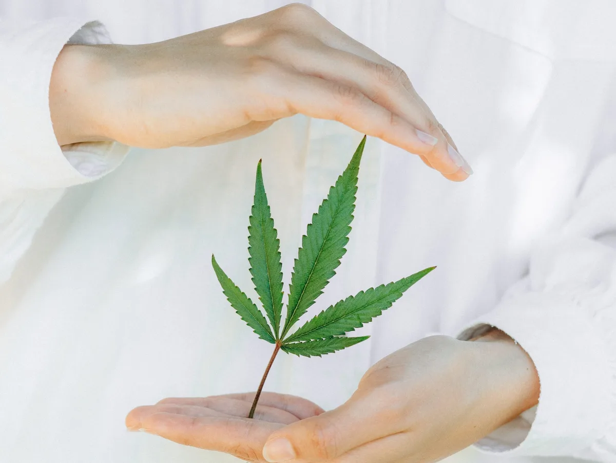 CBD