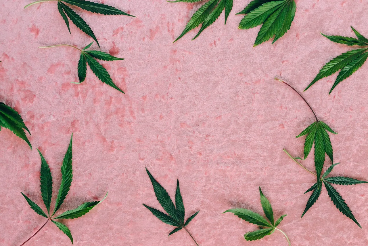 CBD während Wechseljahre
